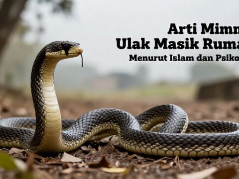 Arti Mimpi Ular Masuk Rumah Menurut Islam Dan Psikologi