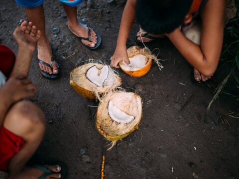 Manfaat Air Kelapa Muda Untuk Asam Lambung Dan Getah Bening